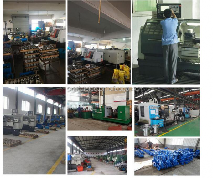 METAL ASTM A312 TP316L Đường cong tập trung Nhũ BLE*PSE Thép không gỉ 7