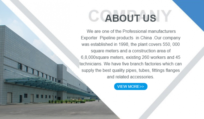 kim loại chất lượng cao 304 thép không gỉ ống lắp cứng đầu vuông cắm 1/2/3/4/6 điểm NPT1/2 7