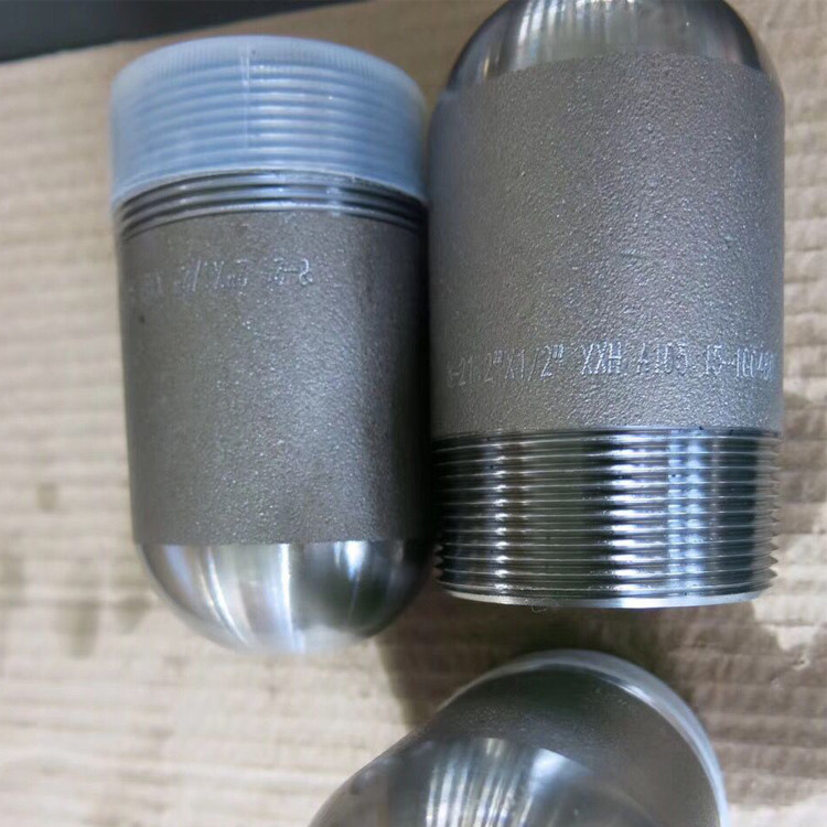 Forged Pipe Fittings Round Plug Carbon Steel A105 Threaded Male NPT Class1500