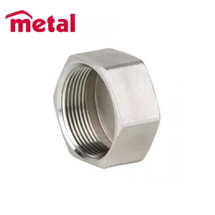 THD Hex Cap Threaded Fitting Forged Pipe Fitting NPS 1/8